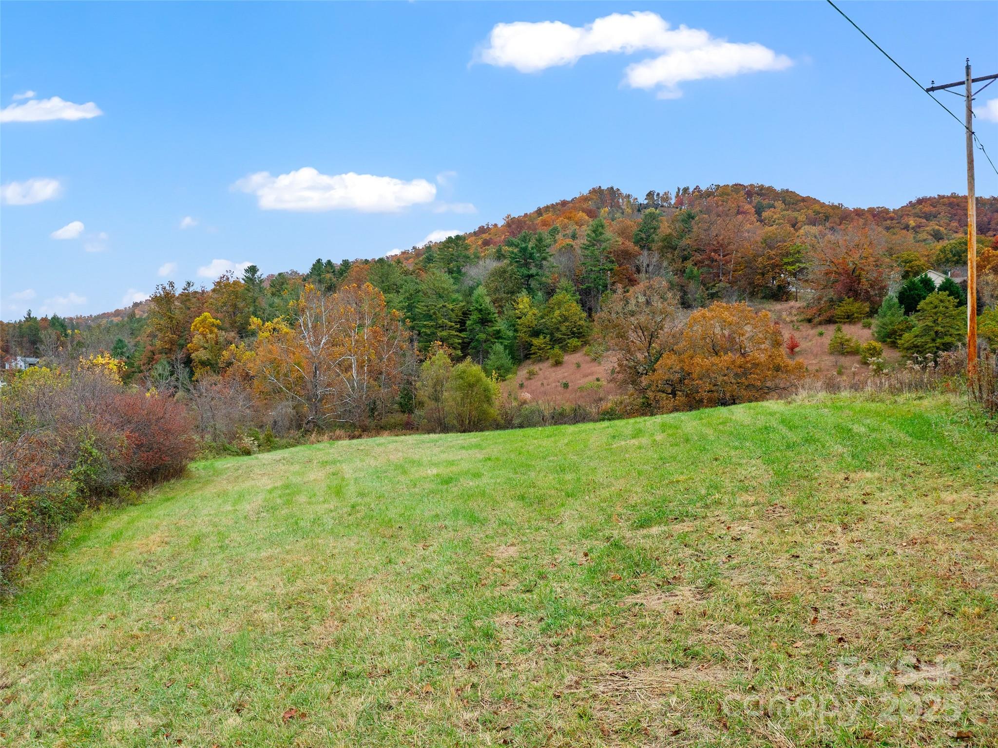 1659 Holcombe Branch Road Weaverville, NC 28787 - Photo 14 of 31 a view of a field with a mountain in the background