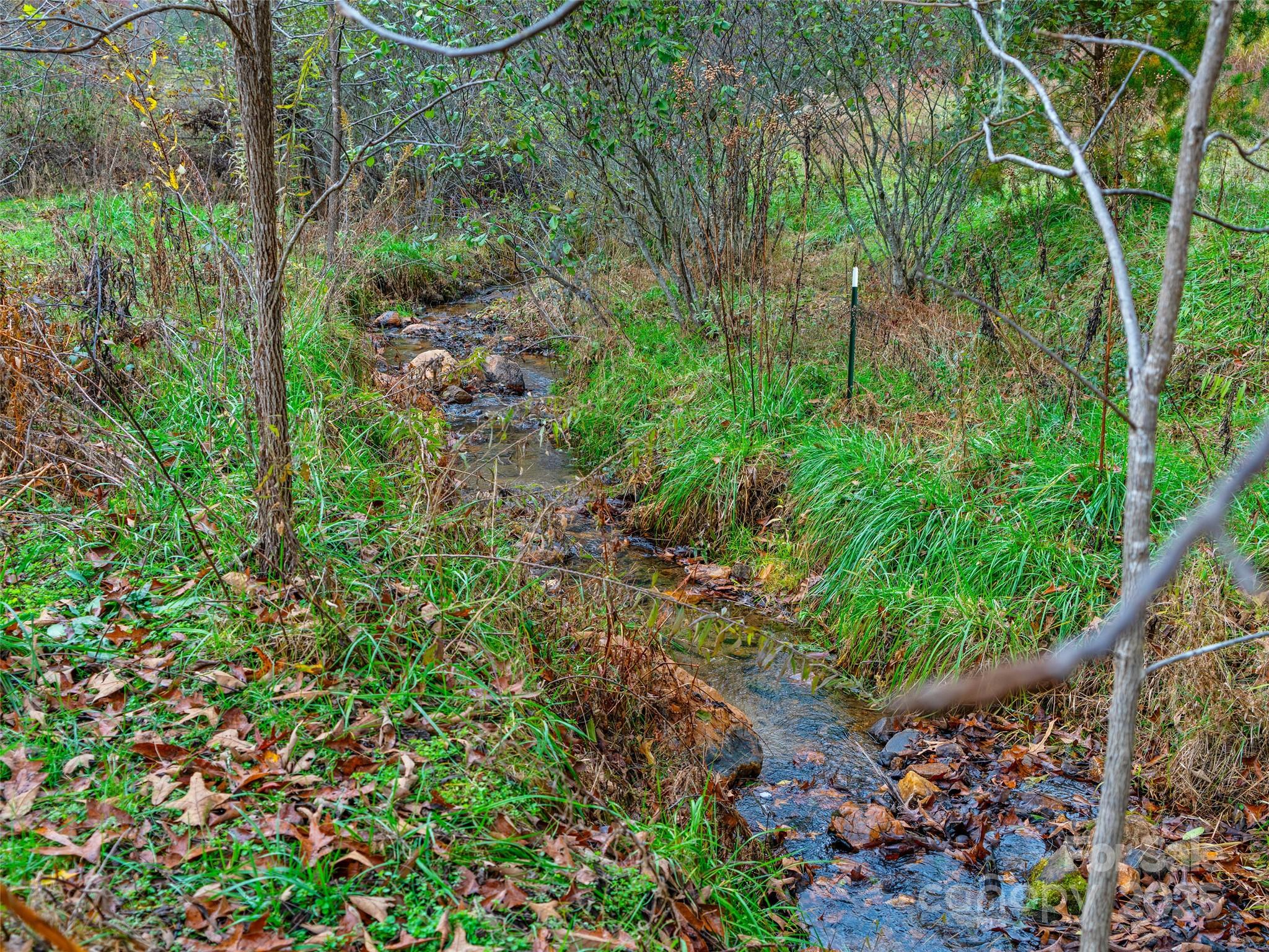 1659 Holcombe Branch Road Weaverville, NC 28787 - Photo 17 of 31 a view of a garden with plants and large trees