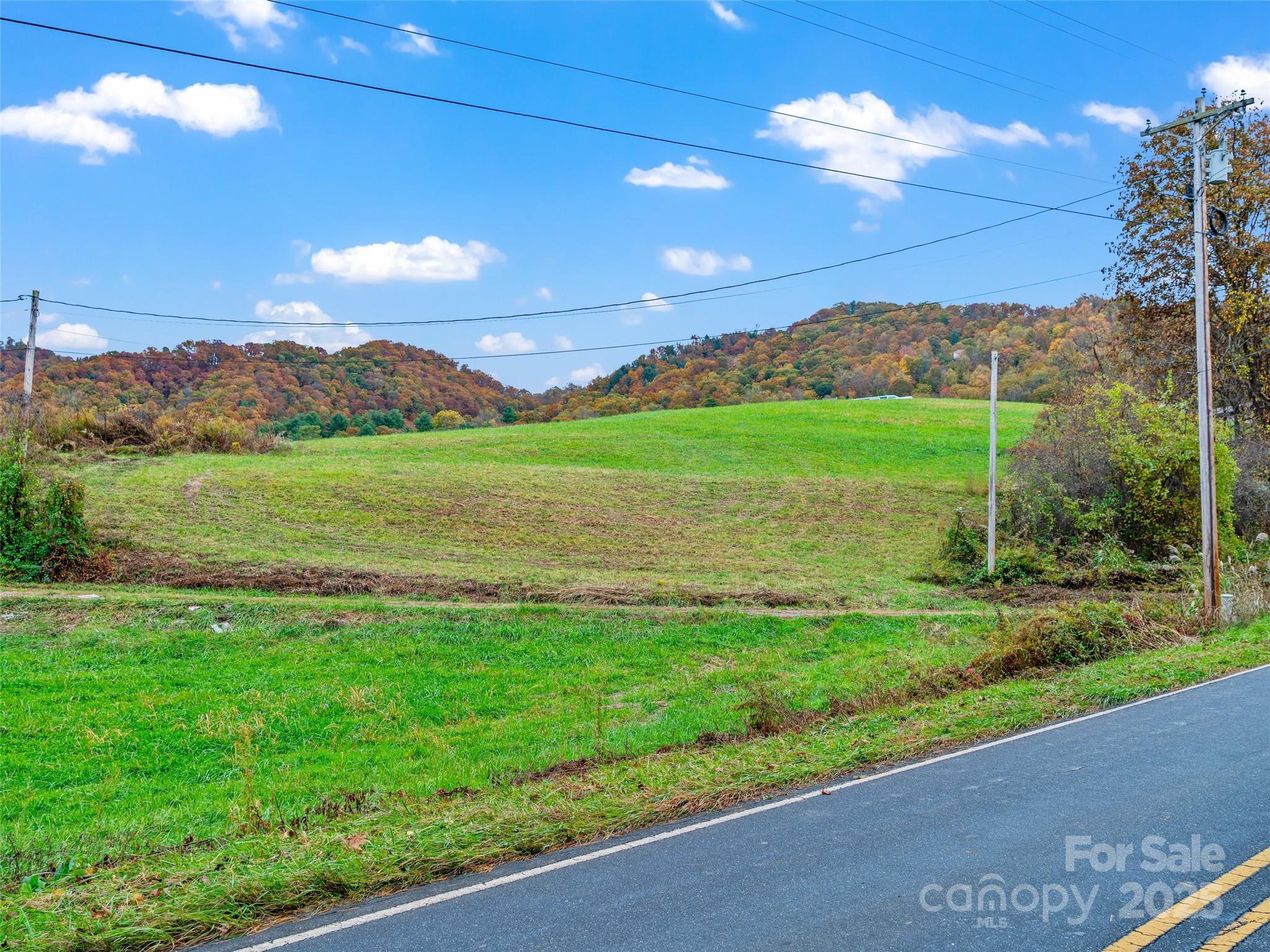 1659 Holcombe Branch Road Weaverville, NC 28787 - Photo 18 of 31 a view of a green field with an ocean