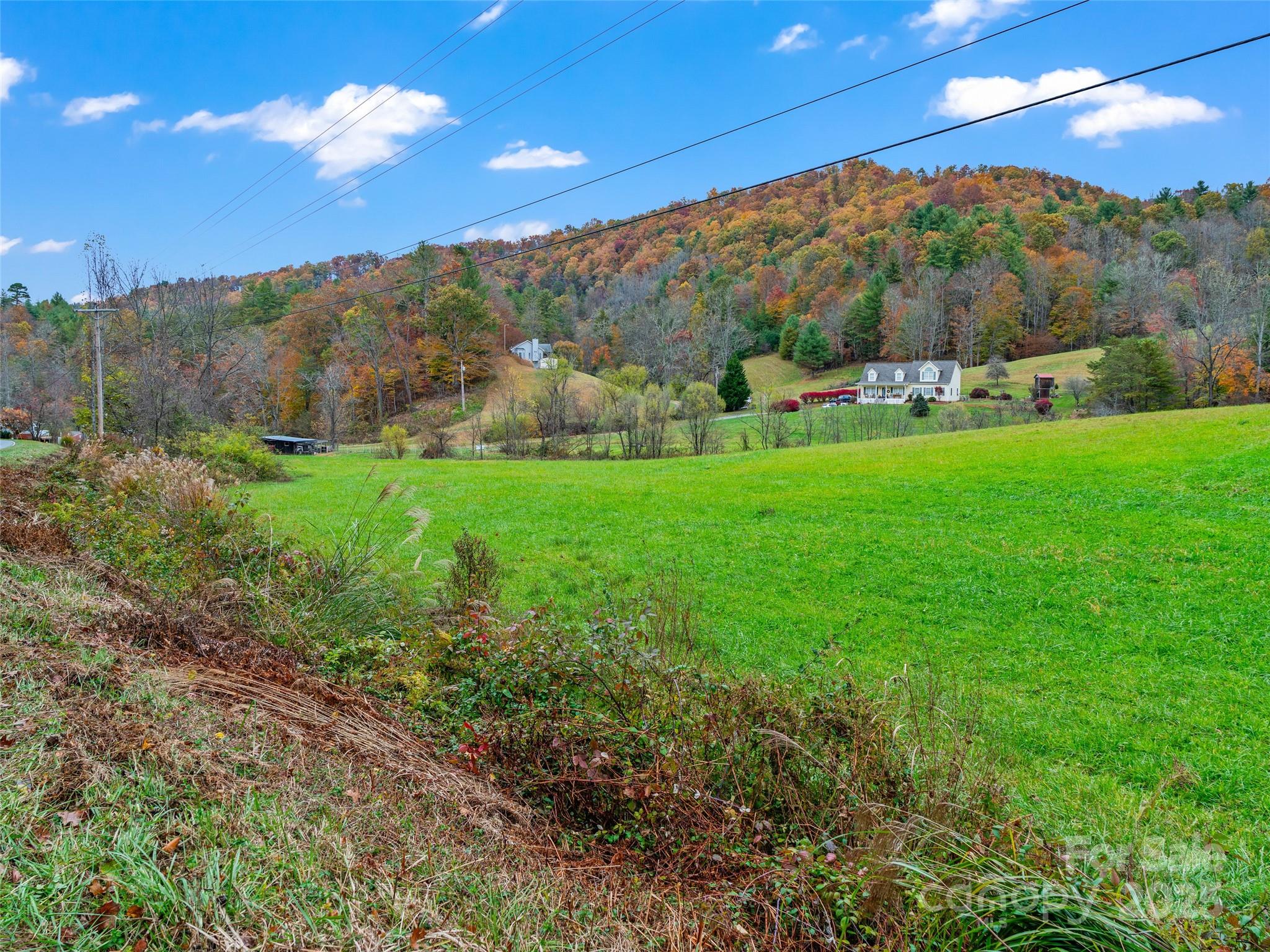 1659 Holcombe Branch Road Weaverville, NC 28787 - Photo 20 of 31 a view of a lush green outdoor space with a mountain view