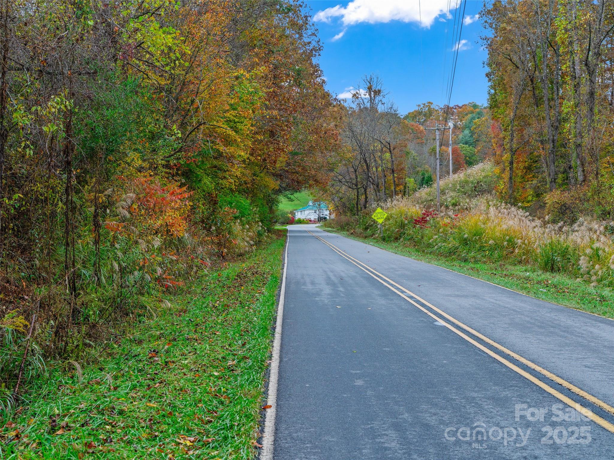 1659 Holcombe Branch Road Weaverville, NC 28787 - Photo 24 of 31 a view of a garden with mountain view