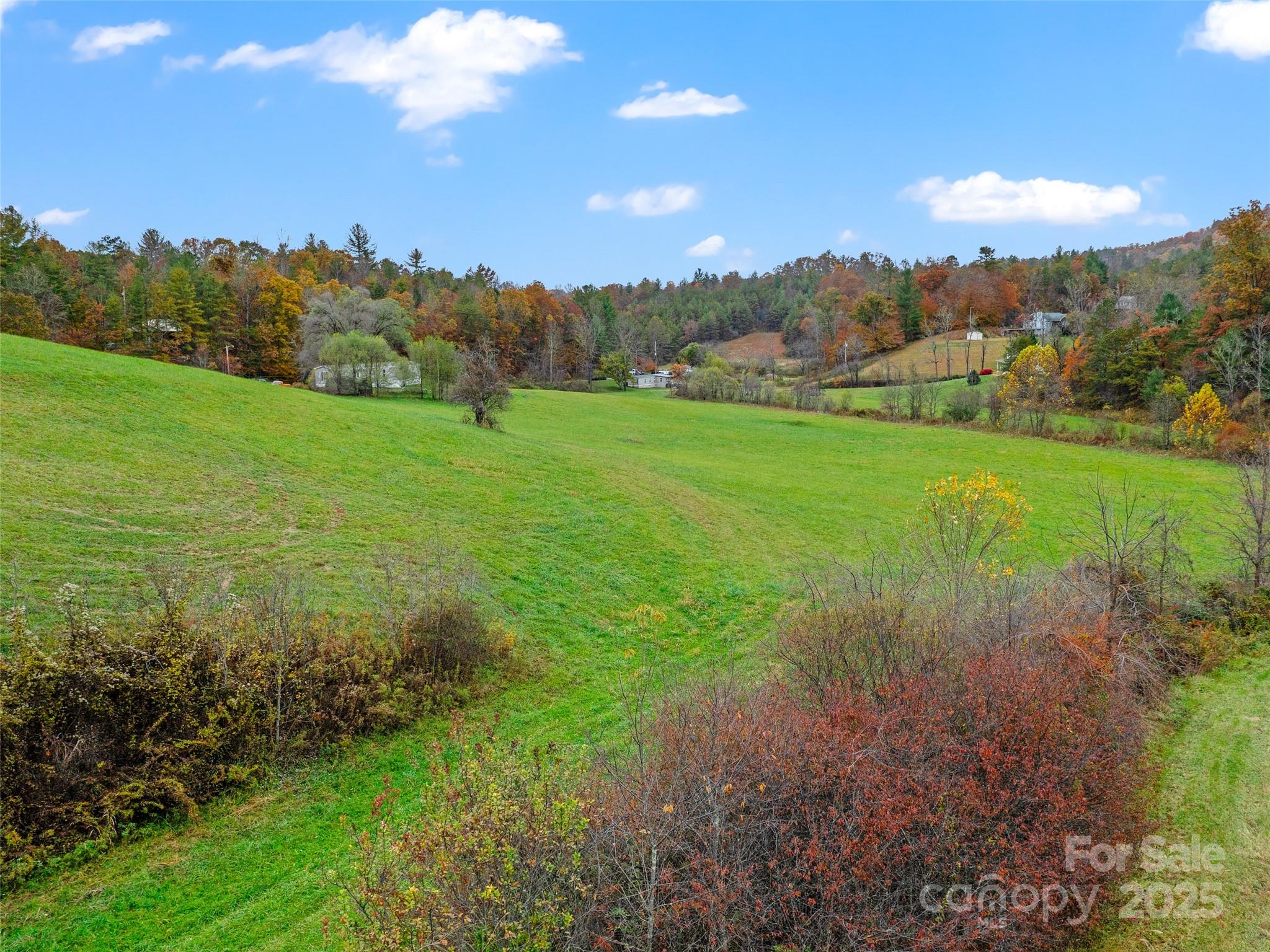 1659 Holcombe Branch Road Weaverville, NC 28787 - Photo 25 of 31 a view of an outdoor space and a yard