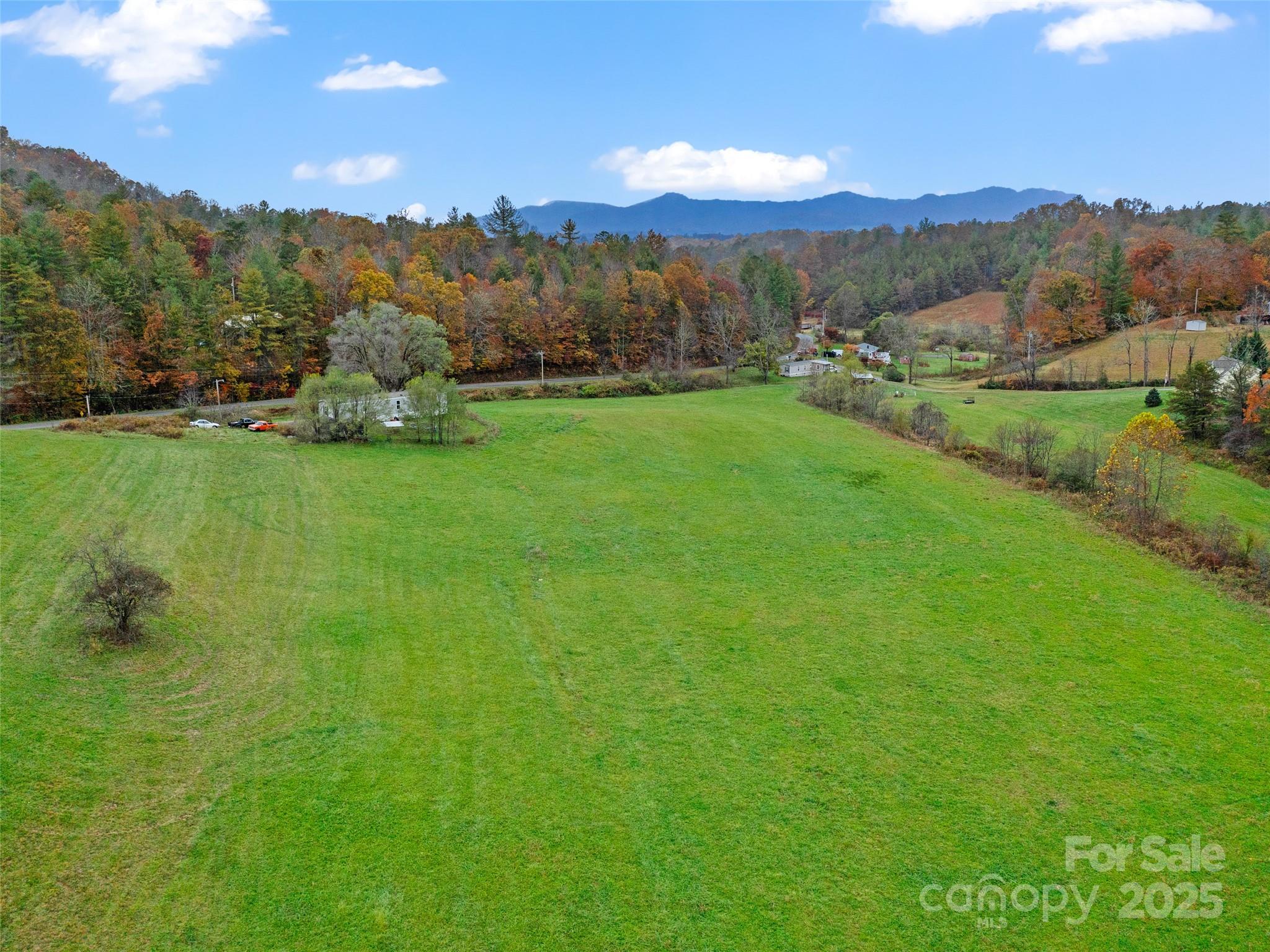 1659 Holcombe Branch Road Weaverville, NC 28787 - Photo 26 of 31 a view of a grassy field with mountains in the background