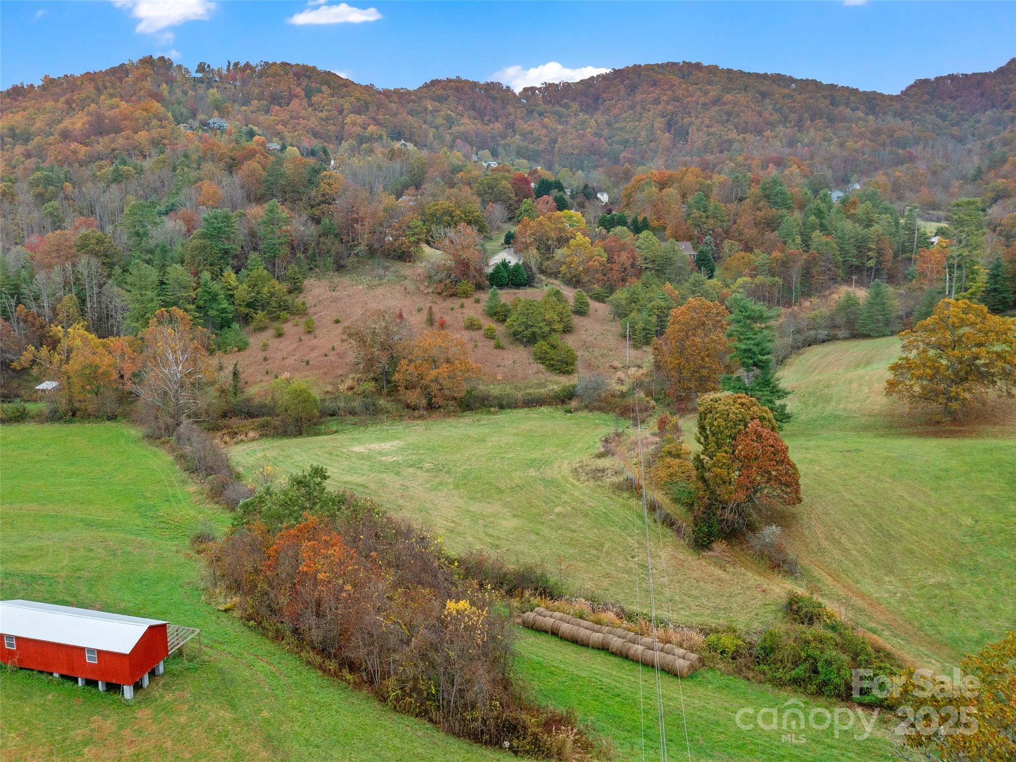 1659 Holcombe Branch Road Weaverville, NC 28787 - Photo 30 of 31 a view of a lush green hillside and houses