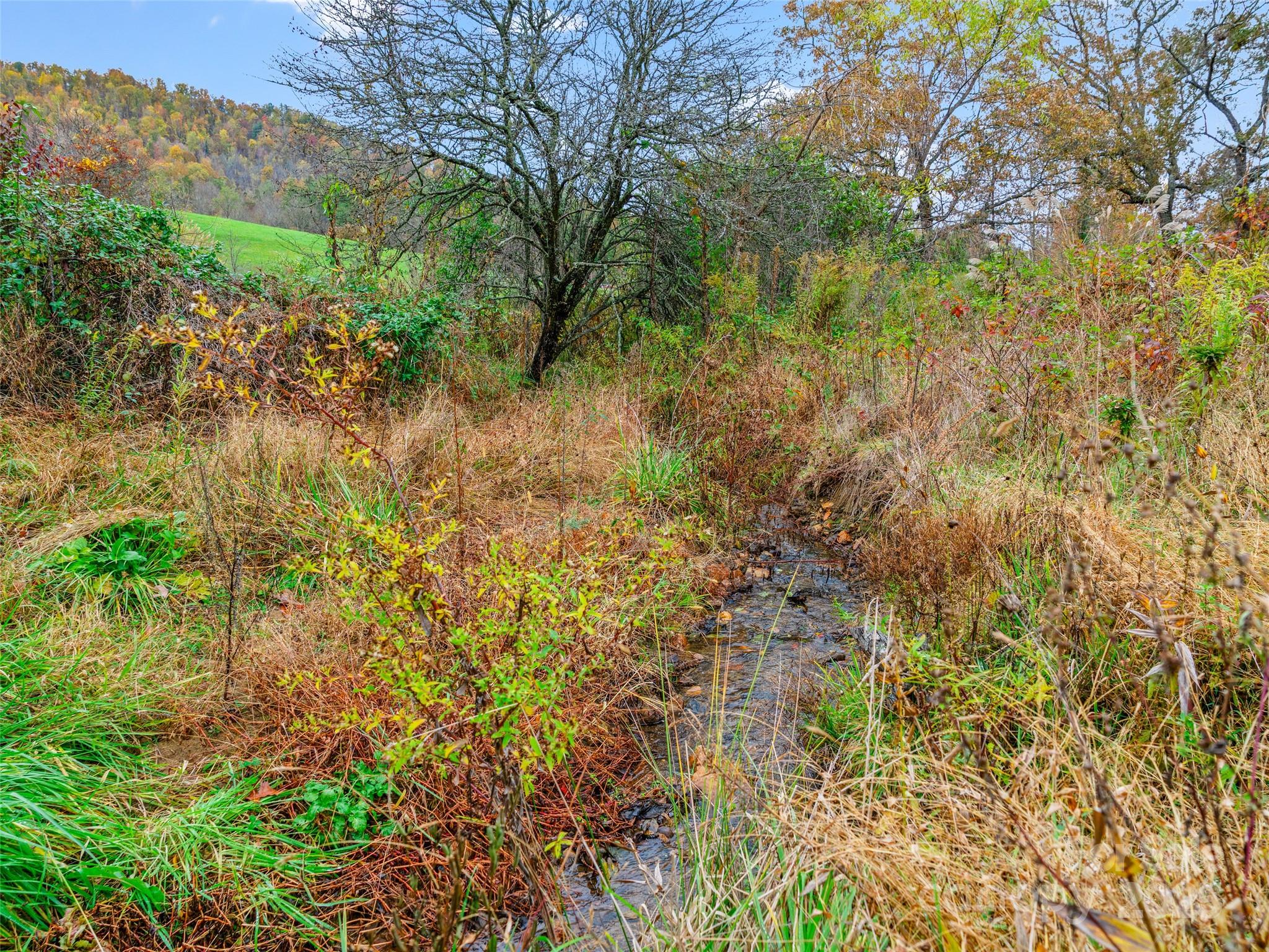 1659 Holcombe Branch Road Weaverville, NC 28787 - Photo 3 of 31 a view of a lake with a house in the background