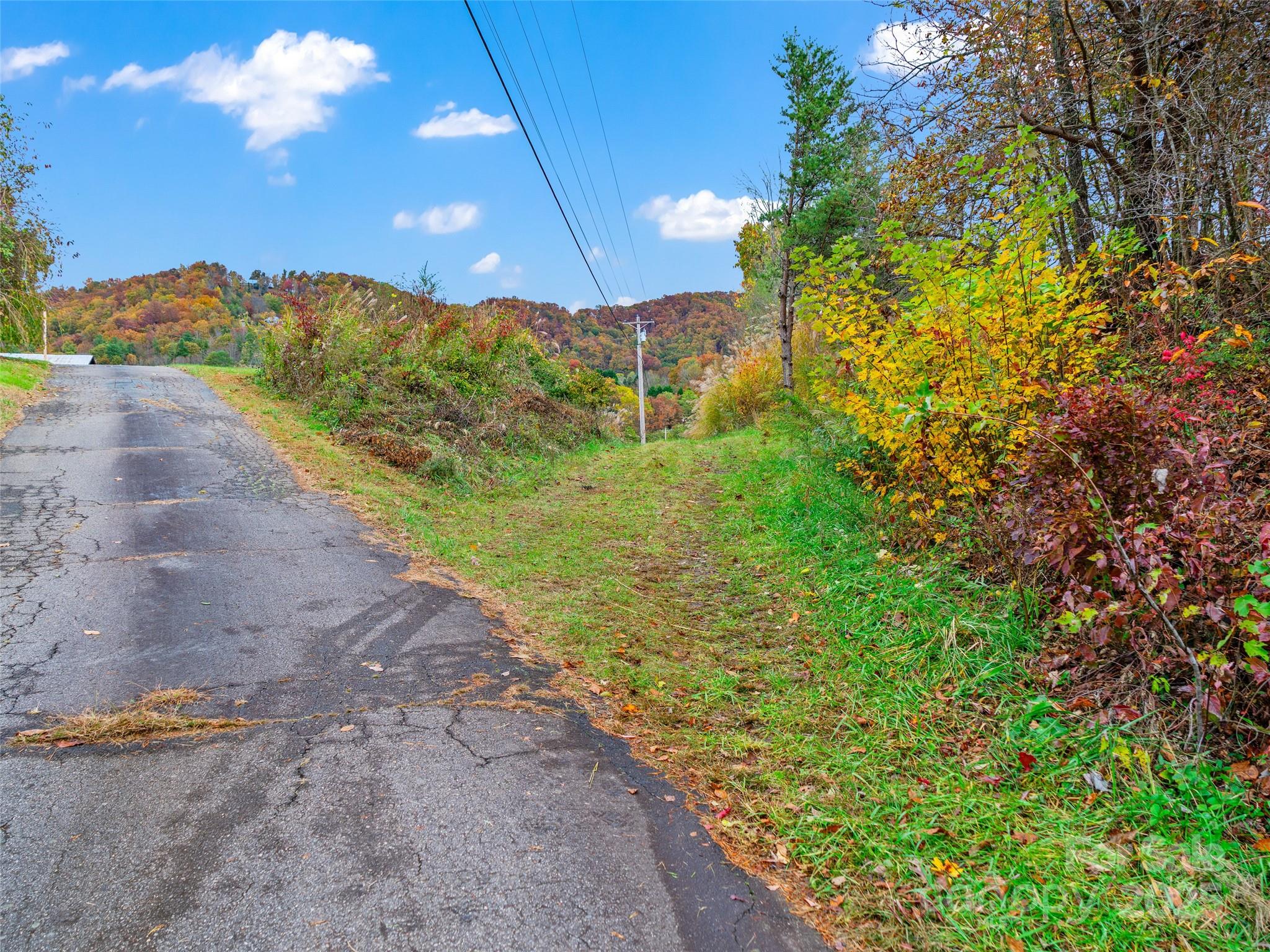 1659 Holcombe Branch Road Weaverville, NC 28787 - Photo 4 of 31 a view of a pathway with a yard