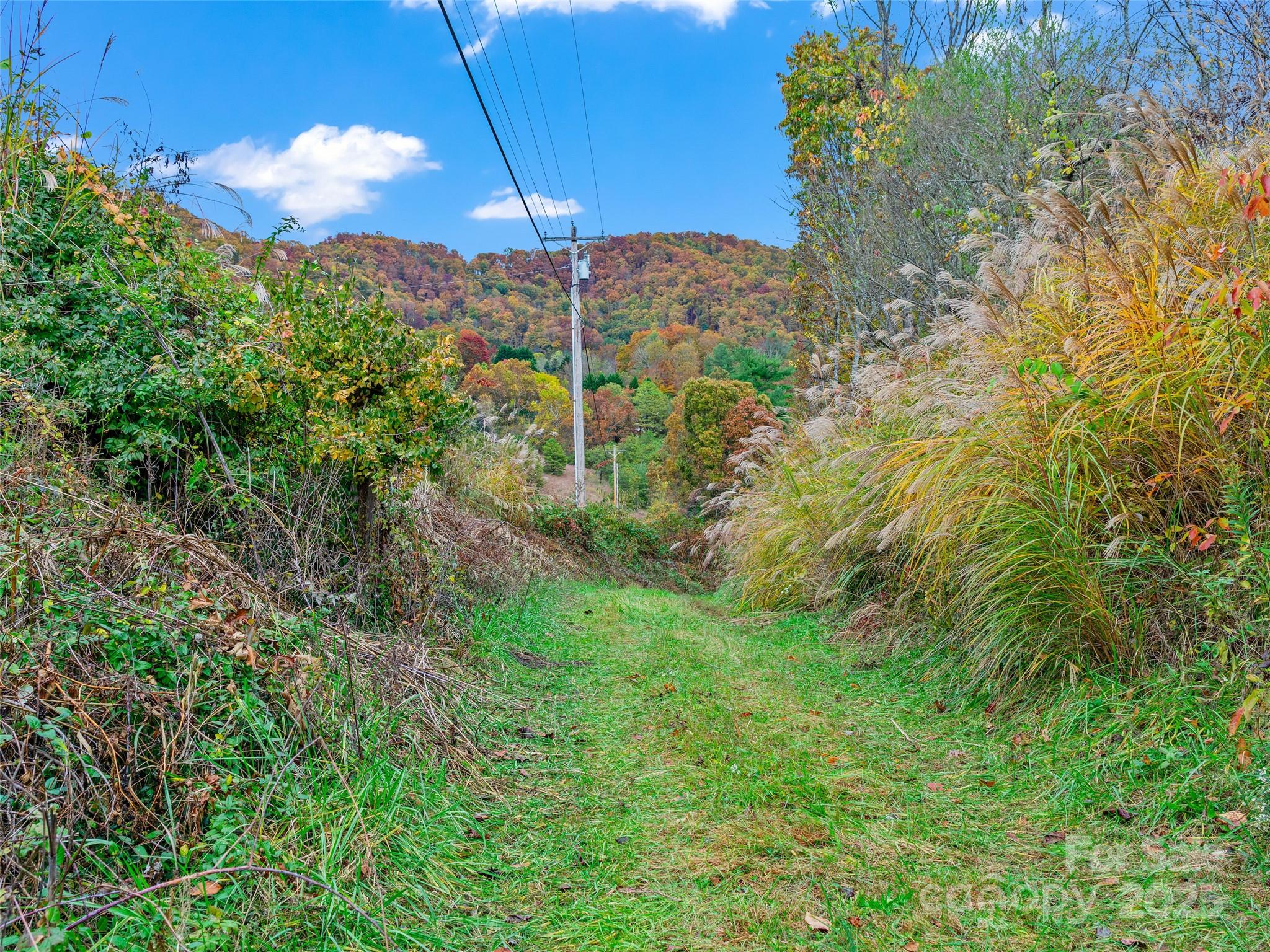 1659 Holcombe Branch Road Weaverville, NC 28787 - Photo 5 of 31 a view of a yard