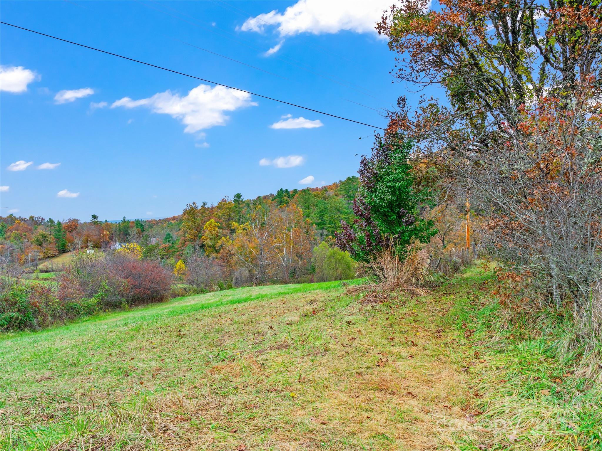 1659 Holcombe Branch Road Weaverville, NC 28787 - Photo 6 of 31 a view of a yard with a house in the background