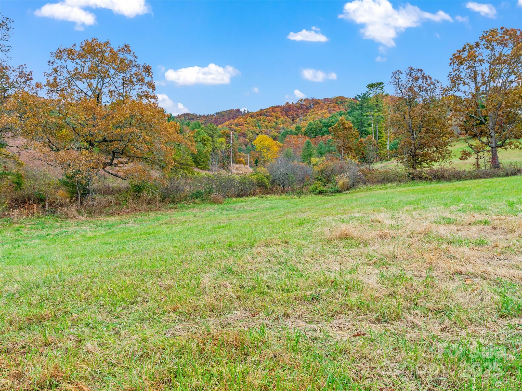1659 Holcombe Branch Road Weaverville, NC 28787 - Photo 7 of 31 a view of an outdoor space and a yard