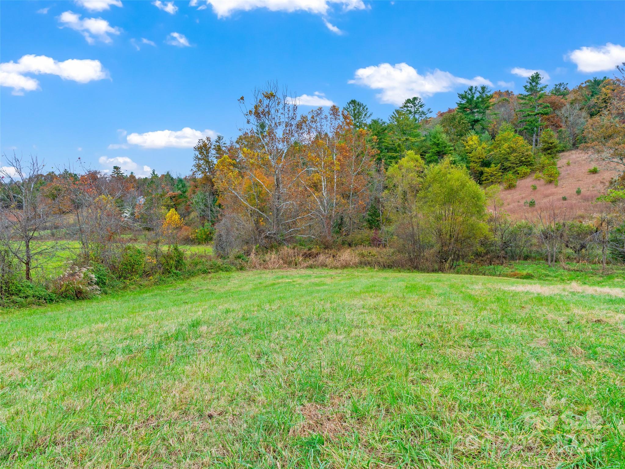 1659 Holcombe Branch Road Weaverville, NC 28787 - Photo 8 of 31 a view of a building with a yard