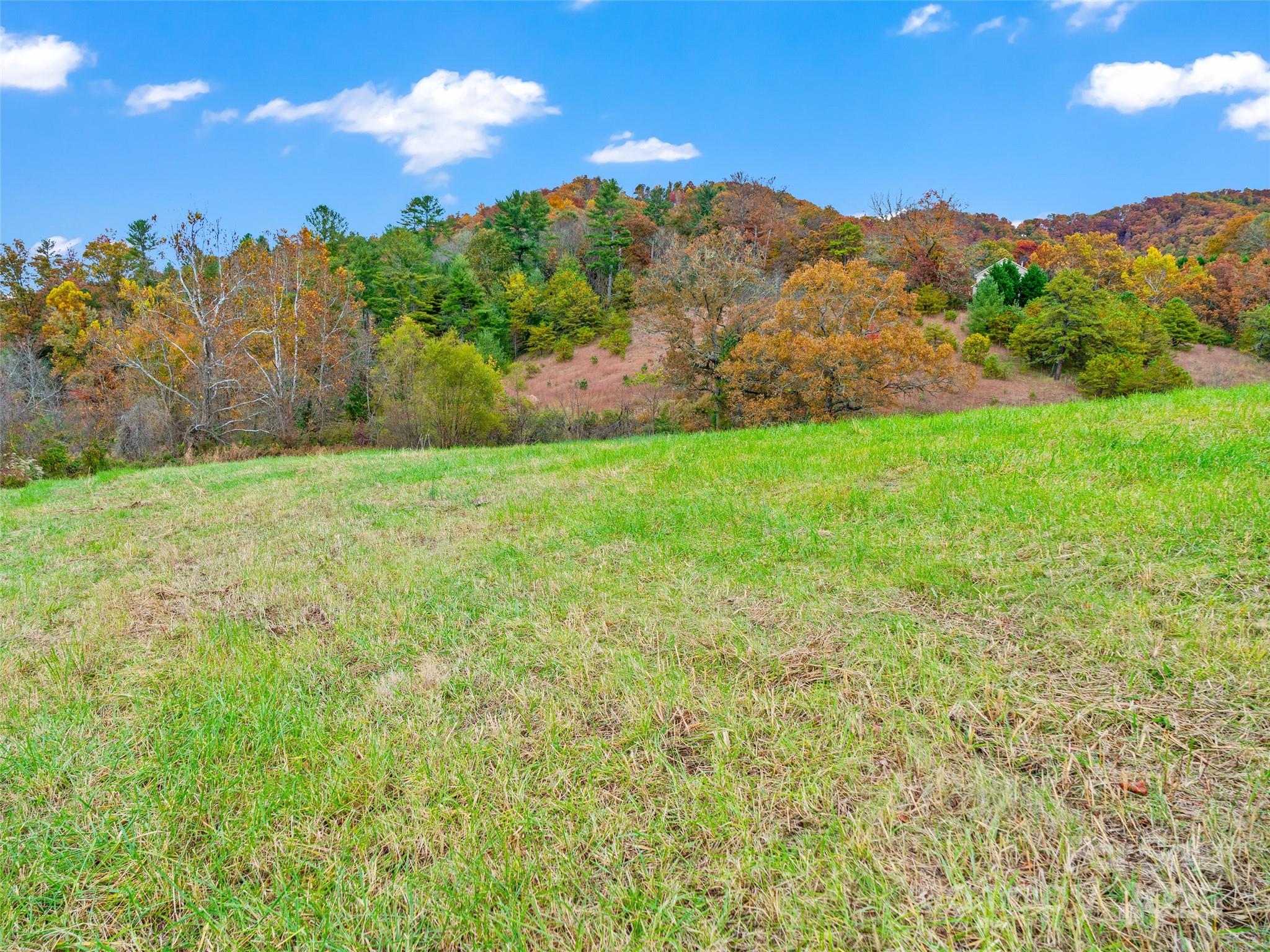 1659 Holcombe Branch Road Weaverville, NC 28787 - Photo 9 of 31 a view of a yard with an trees
