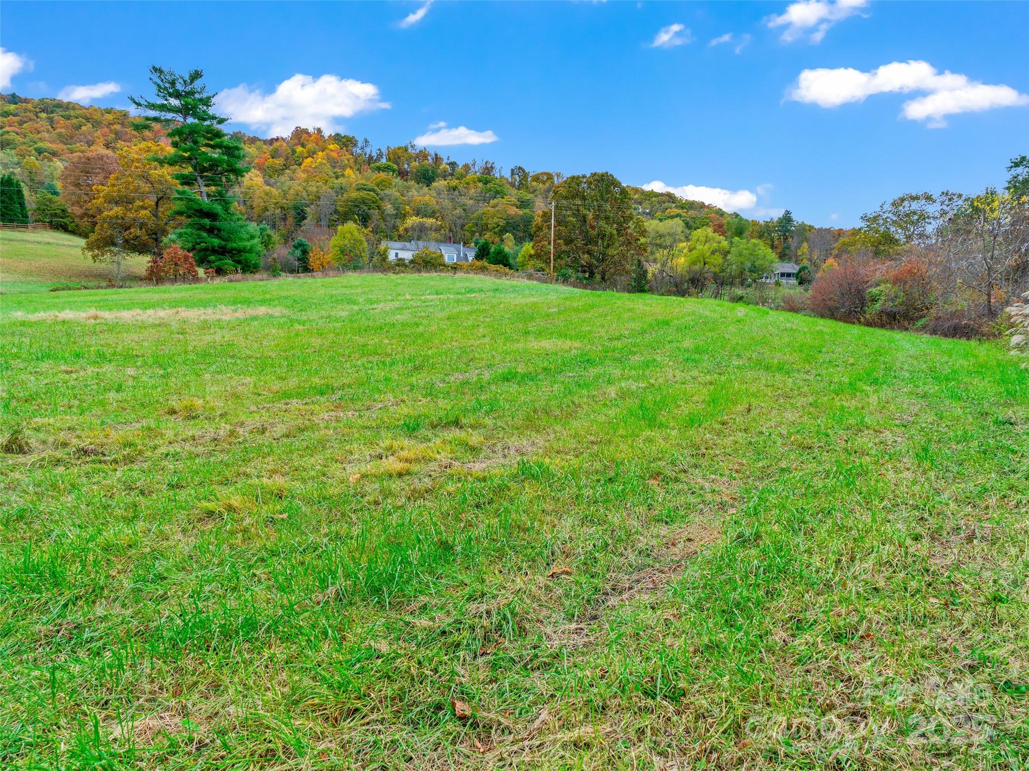 1659 Holcombe Branch Road Weaverville, NC 28787 - Photo 10 of 31 a view of a grassy field with an trees