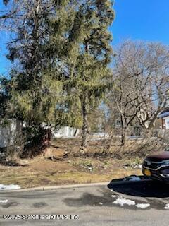 396 Manor Road Staten Island, NY 10314 - Photo 6 of 15 IMG_1119