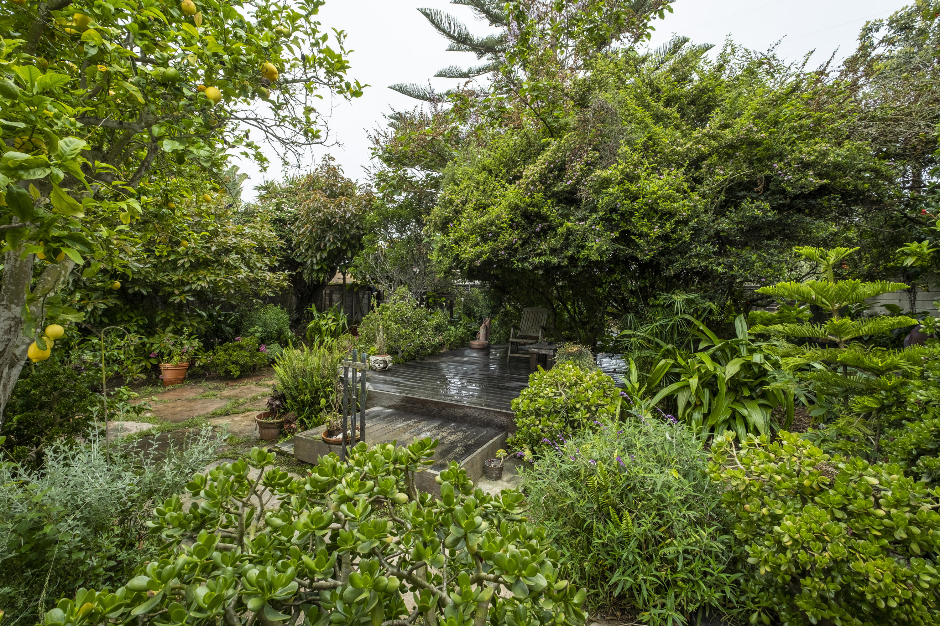 2530 Murrell Road Santa Barbara, CA 93109 - Photo 8 of 19 a backyard of a house with lots of green space