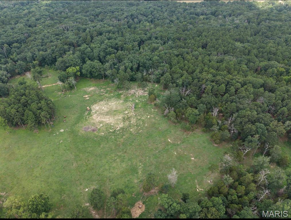 20003 Gore Road Ste. Genevieve, MO 63670 - Photo 5 of 10