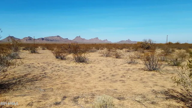 a view of a yard with a mountain