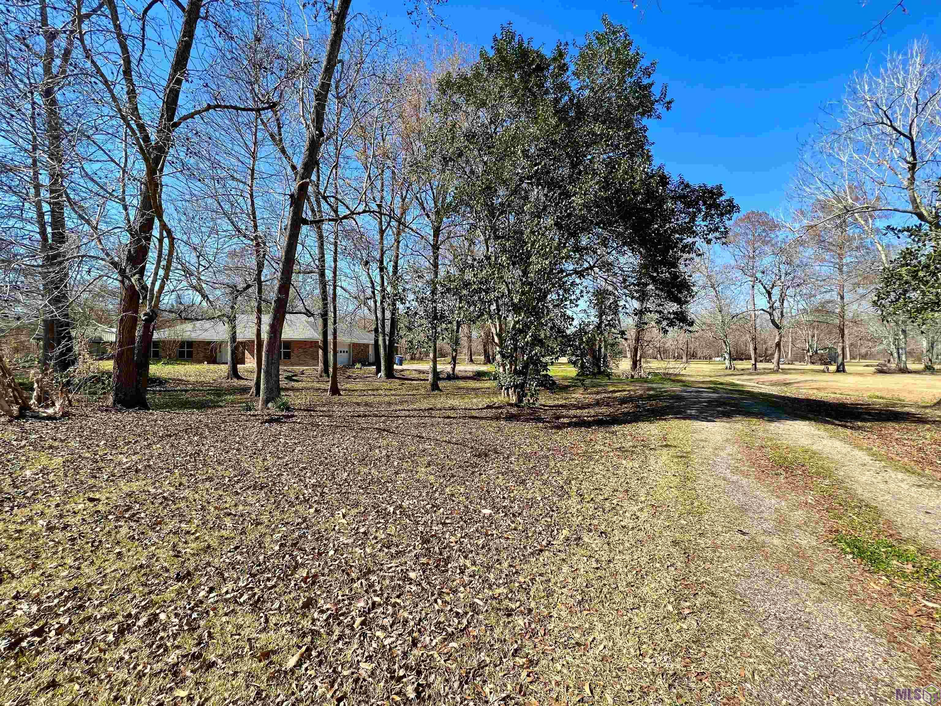 5335 Elm Grove Road Port Allen, LA 70767 - Photo 18 of 22 Gallery Image 18