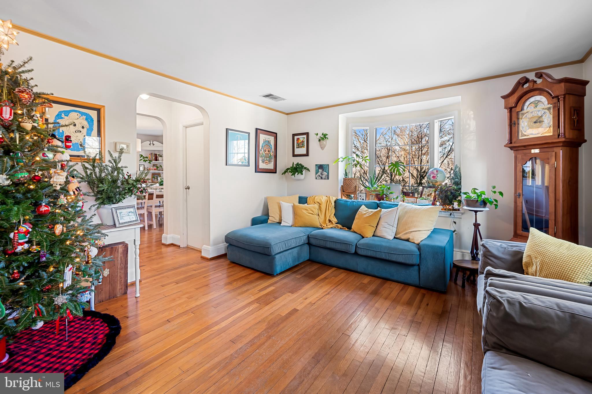 5726 Ranny Road Baltimore, MD 21209 - Photo 5 of 35 a living room with furniture and a potted plant