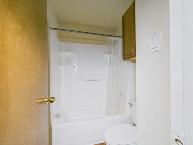 a bathroom with a shower and a toilet