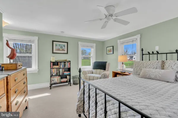 a view of a park with large trees