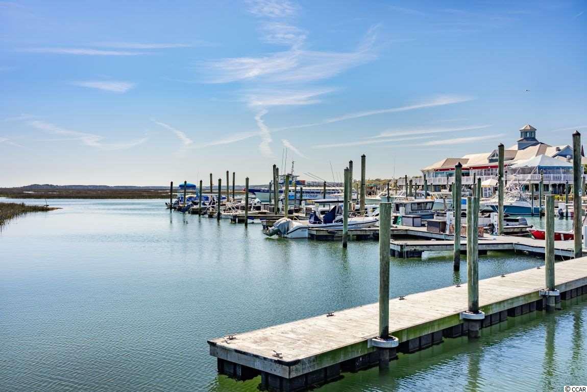 138 Sea Shell Drive, Unit 12 Murrells Inlet, SC 29576 - Photo 28 of 40