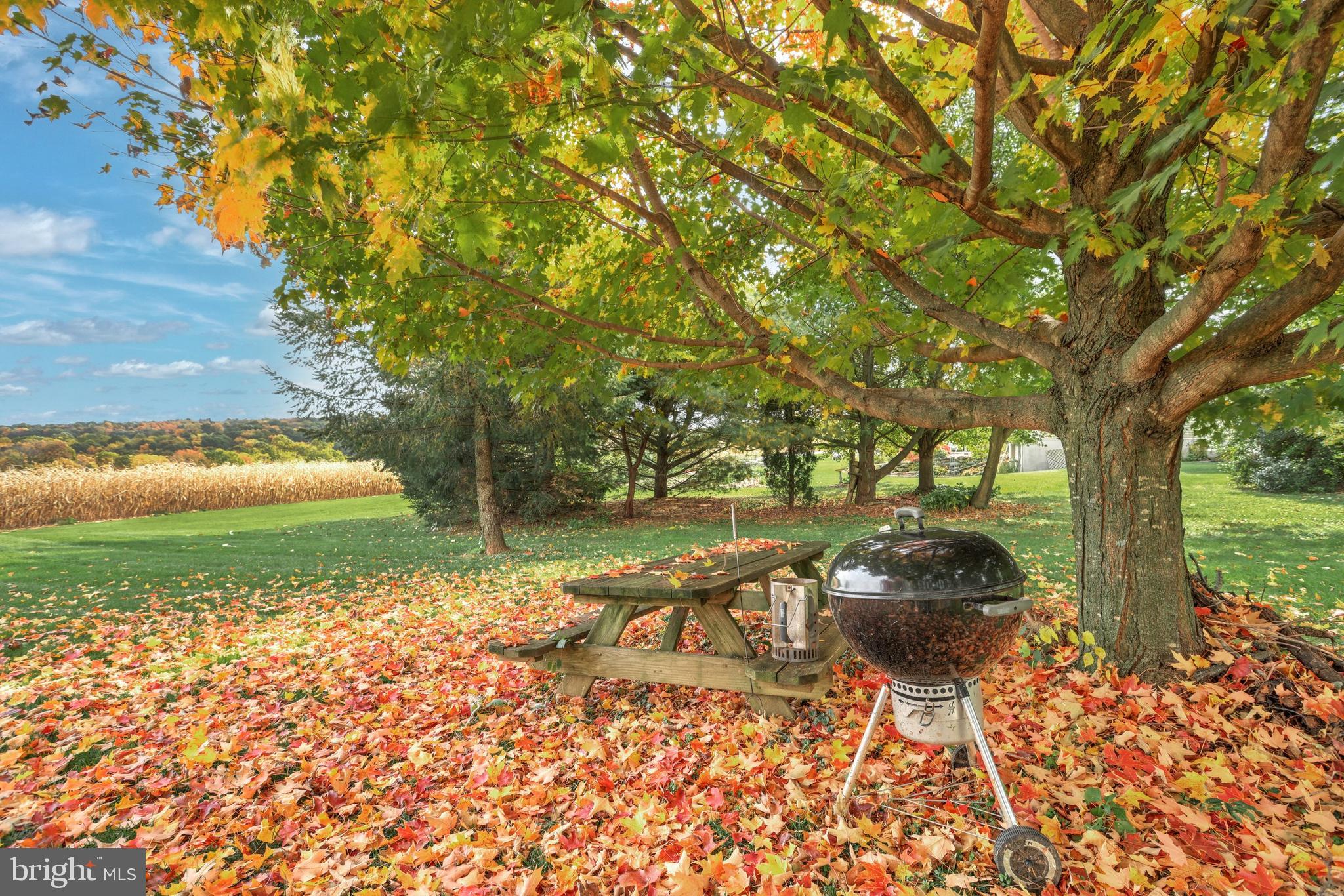 14085 Ridge Road Stewartstown, PA 17363 - Photo 11 of 52