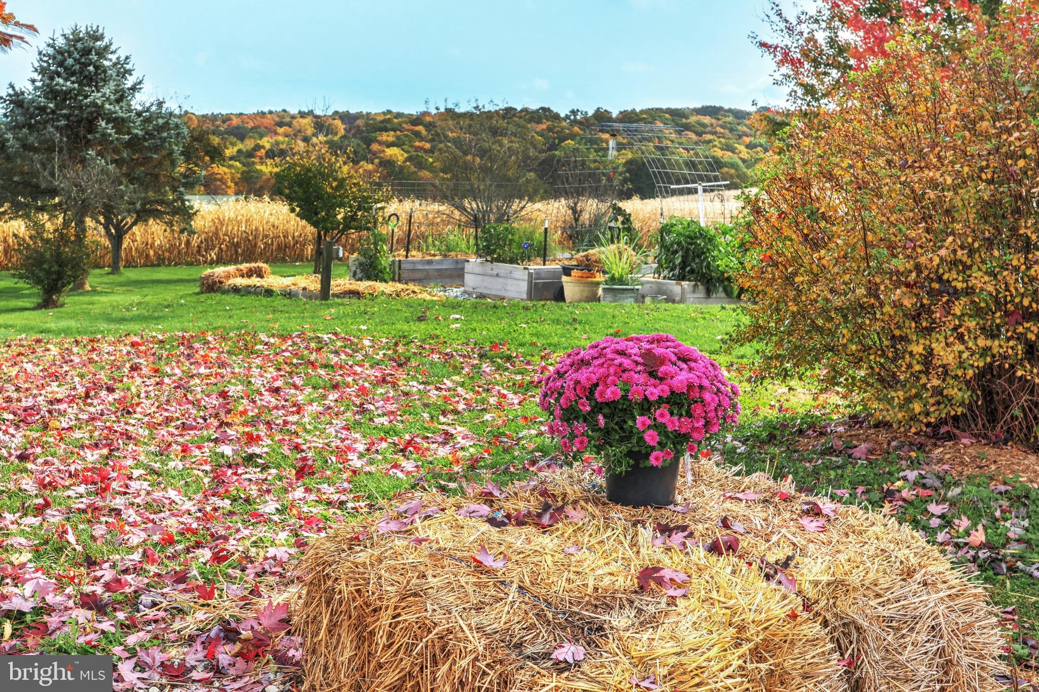14085 Ridge Road Stewartstown, PA 17363 - Photo 7 of 52