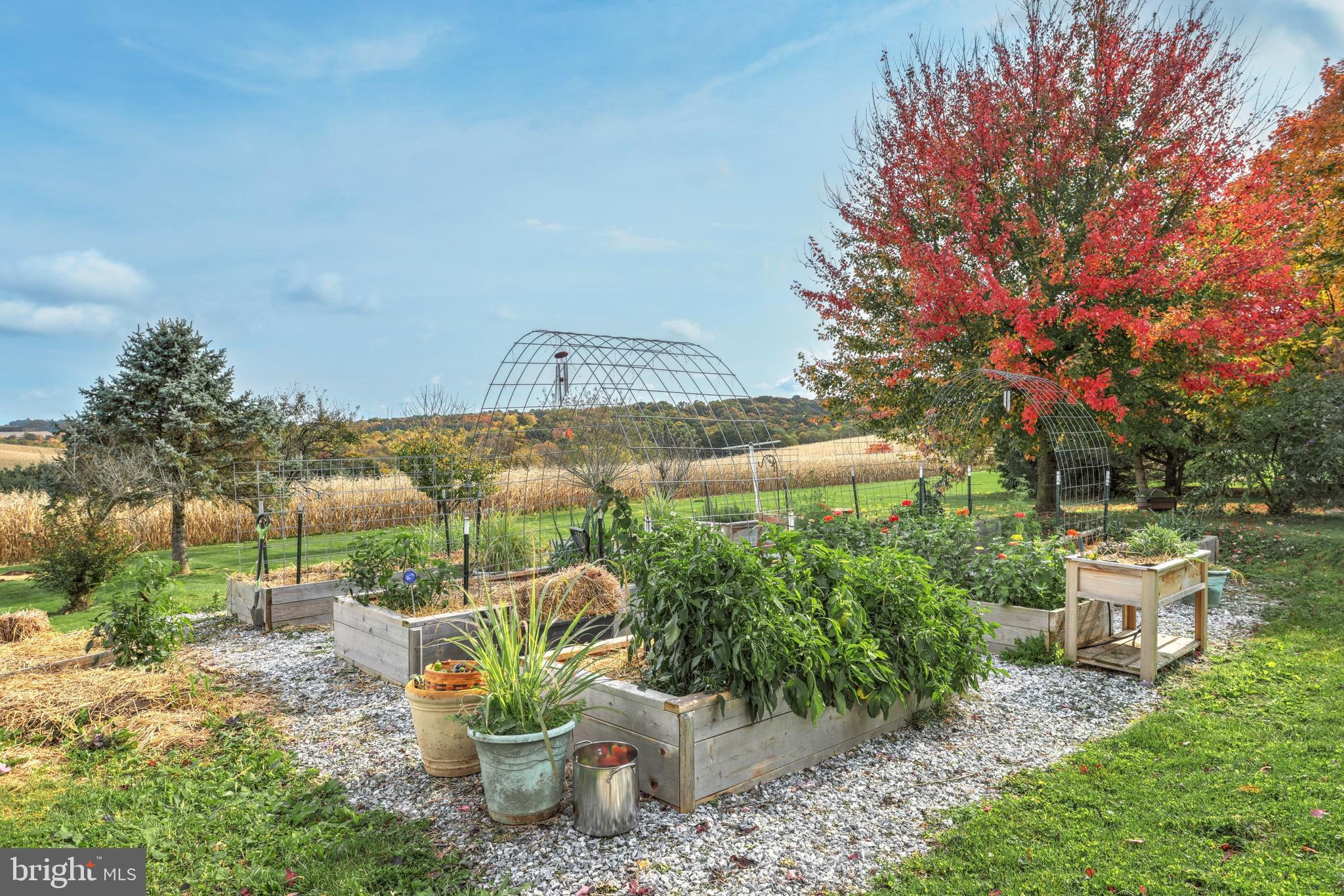 14085 Ridge Road Stewartstown, PA 17363 - Photo 8 of 52