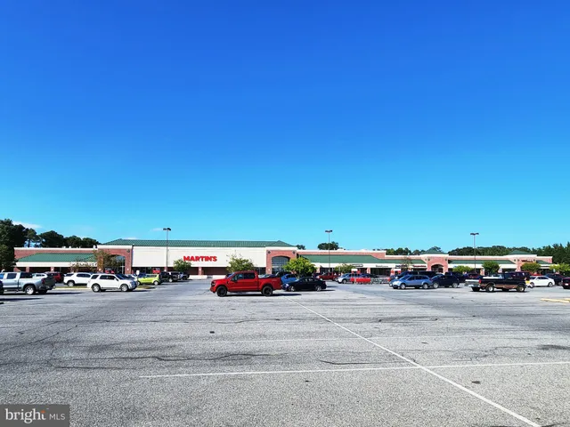 a view of a garden with lawn chairs and large trees