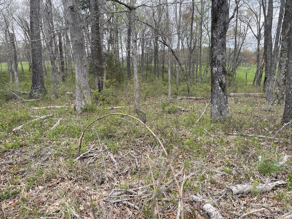 East Rock Quarry Road Clarkrange, TN 38553 - Photo 1 of 4 0-1