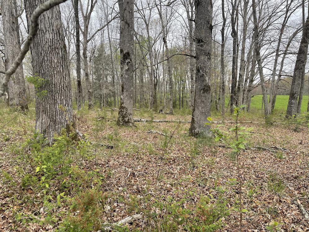 East Rock Quarry Road Clarkrange, TN 38553 - Photo 2 of 4 0