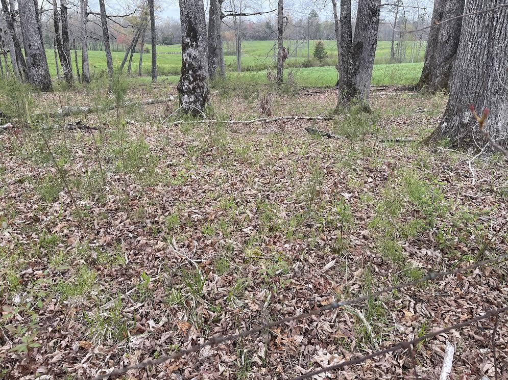 East Rock Quarry Road Clarkrange, TN 38553 - Photo 3 of 4 0-3