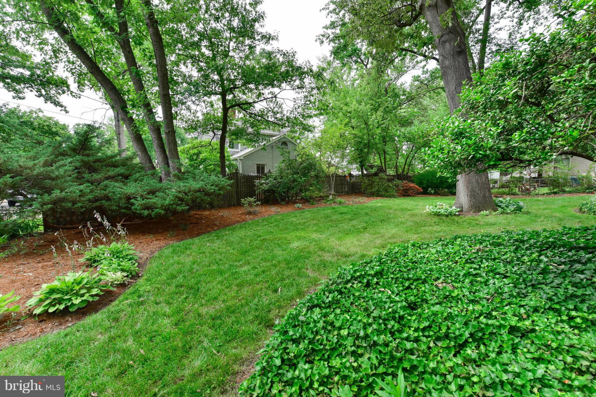 2800 Ridge Rd Drive Alexandria, VA 22302 - Photo 25 of 30 Exterior (Rear)