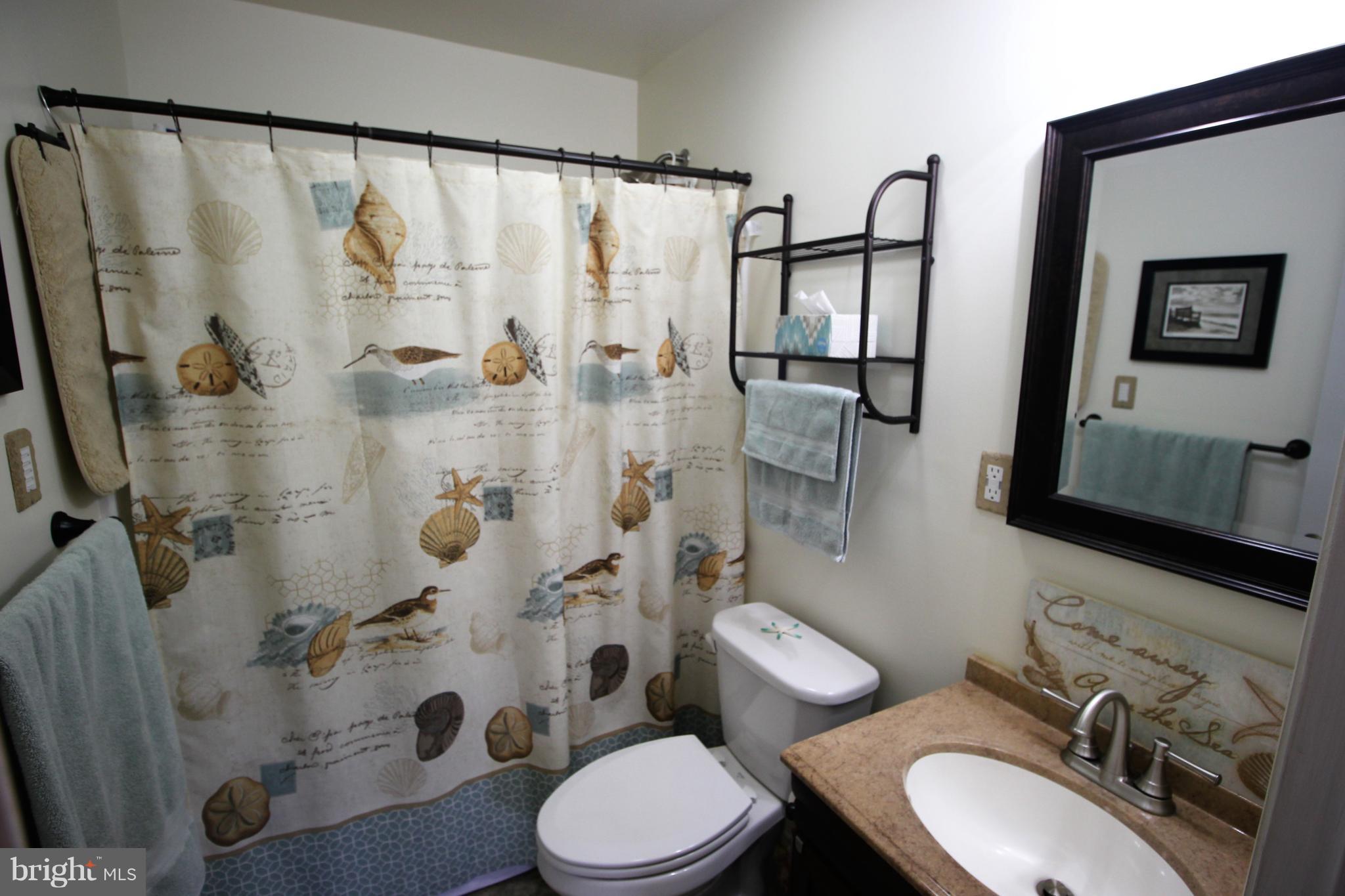 310 Janet Road Reisterstown, MD 21136 - Photo 24 of 34 Main Floor Bathroom