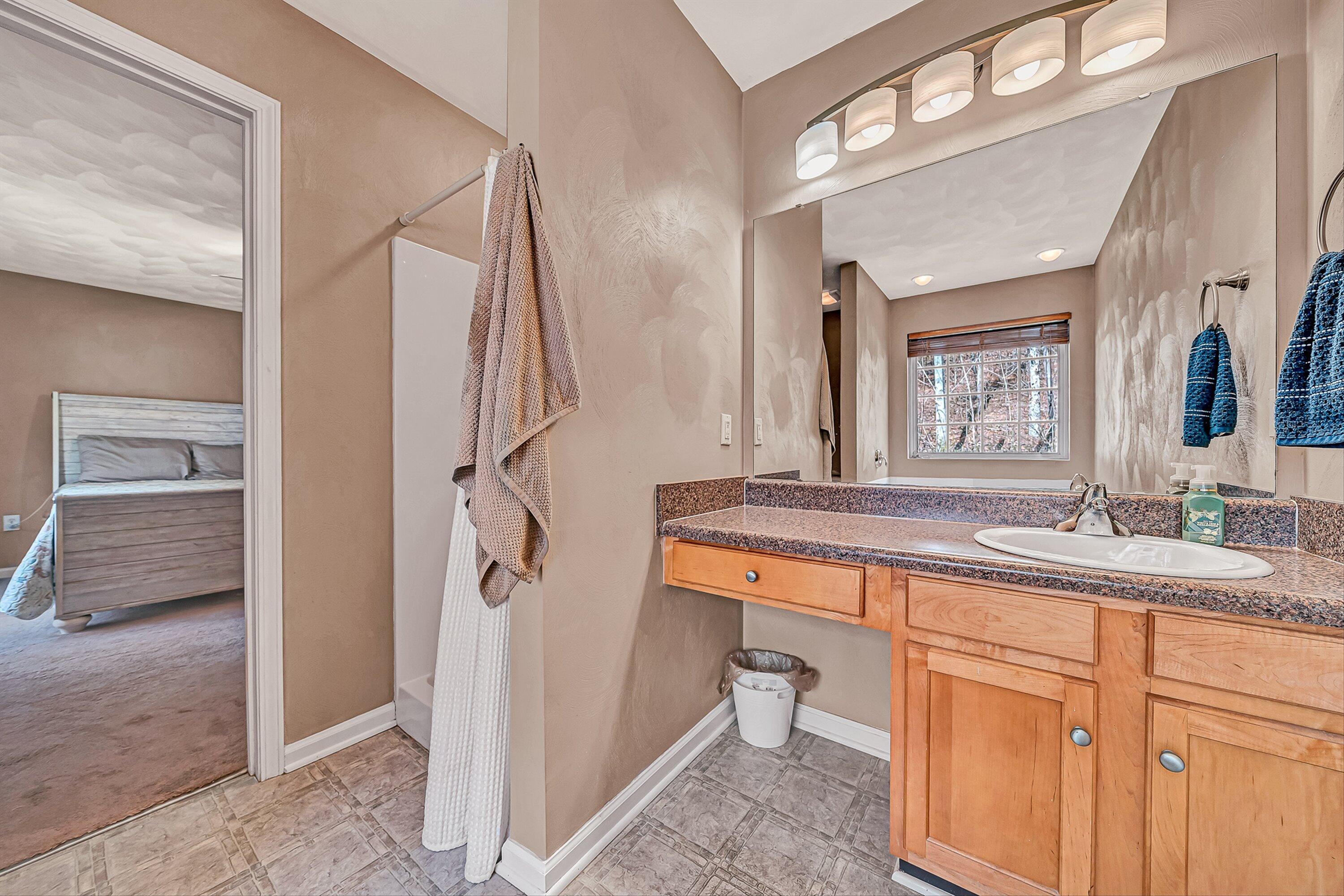 4219 Daugherty Road Salem, VA 24153 - Photo 19 of 28 a bathroom with a sink a mirror and a shower