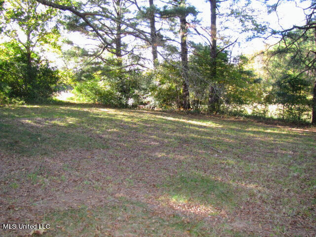 1424 Lyles Road Senatobia, MS 38668 - Photo 14 of 29 IMG_1183