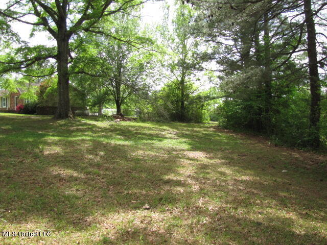 1424 Lyles Road Senatobia, MS 38668 - Photo 21 of 29 IMG_1245