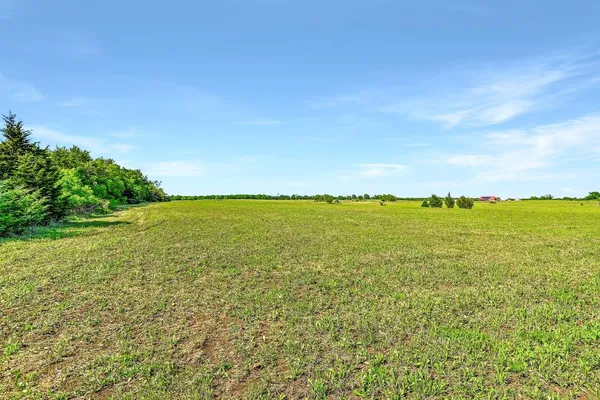 a view of yard with green space