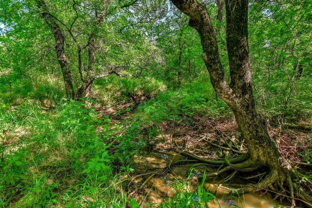 a view of a large yard with lots of bushes