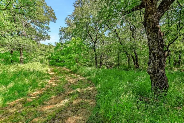 a view of a lake with a big yard