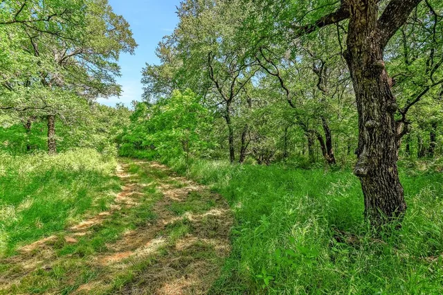 a view of a lake with a big yard