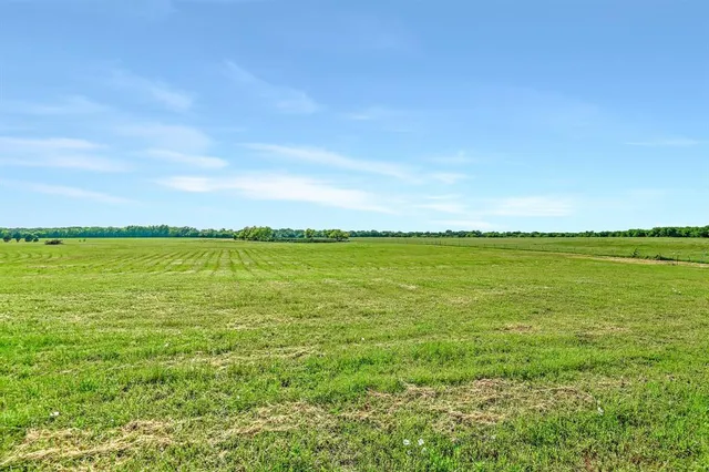 a view of a field with an ocean view