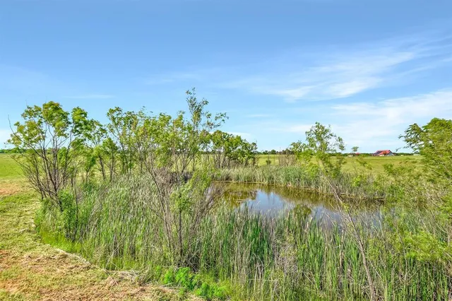 a view of lake with green space