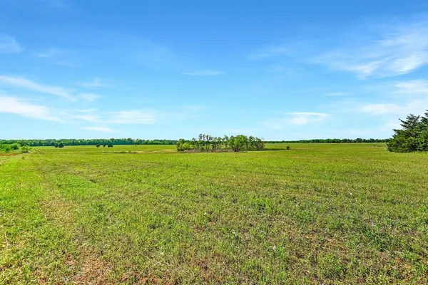a view of a yard with an trees