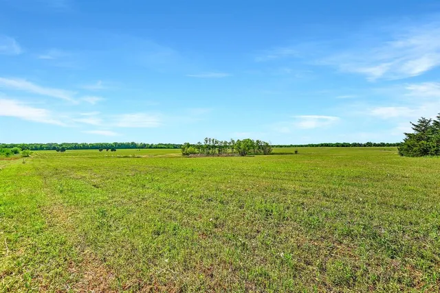 a view of a yard with an trees