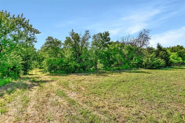 a view of a yard with a tree