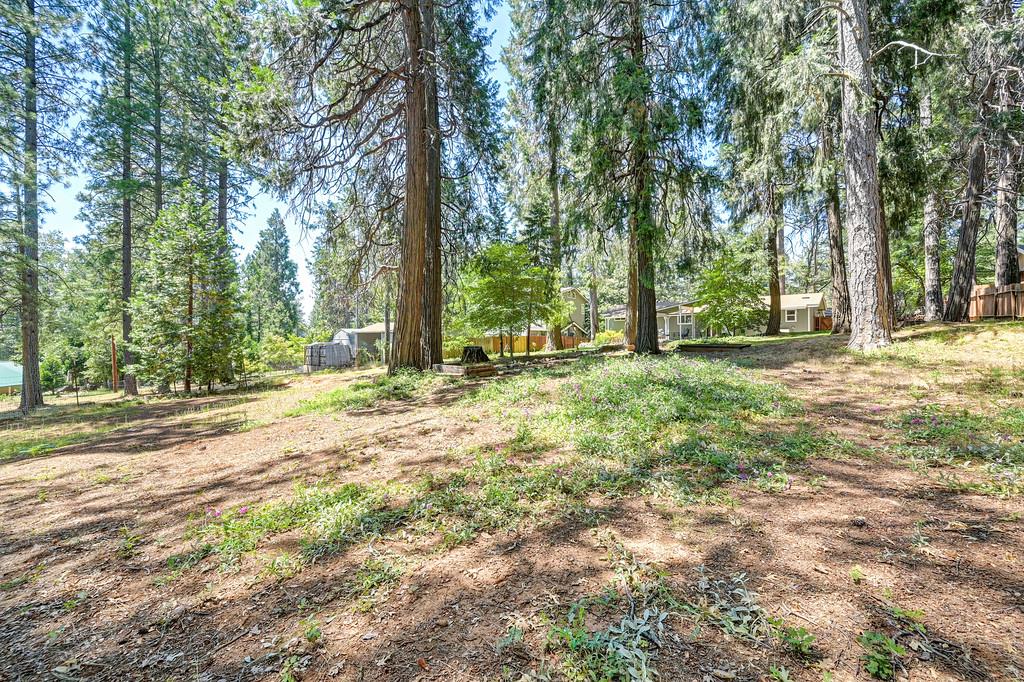405 Alpine Drive Colfax, CA 95713 - Photo 47 of 59