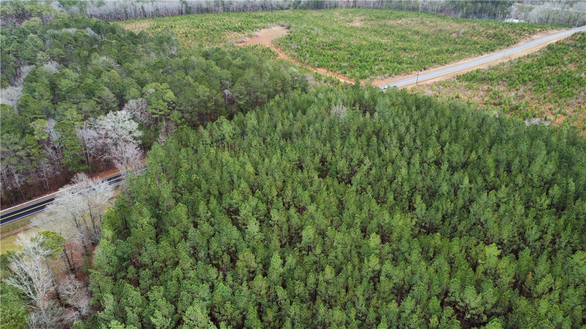 0 Chappells Highway Chappells, SC 29037 - Photo 1 of 5