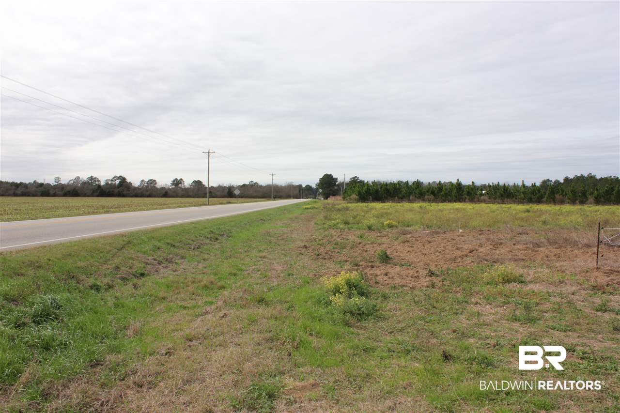 10 County Road 32 Elberta, AL 36530 - Photo 4 of 7