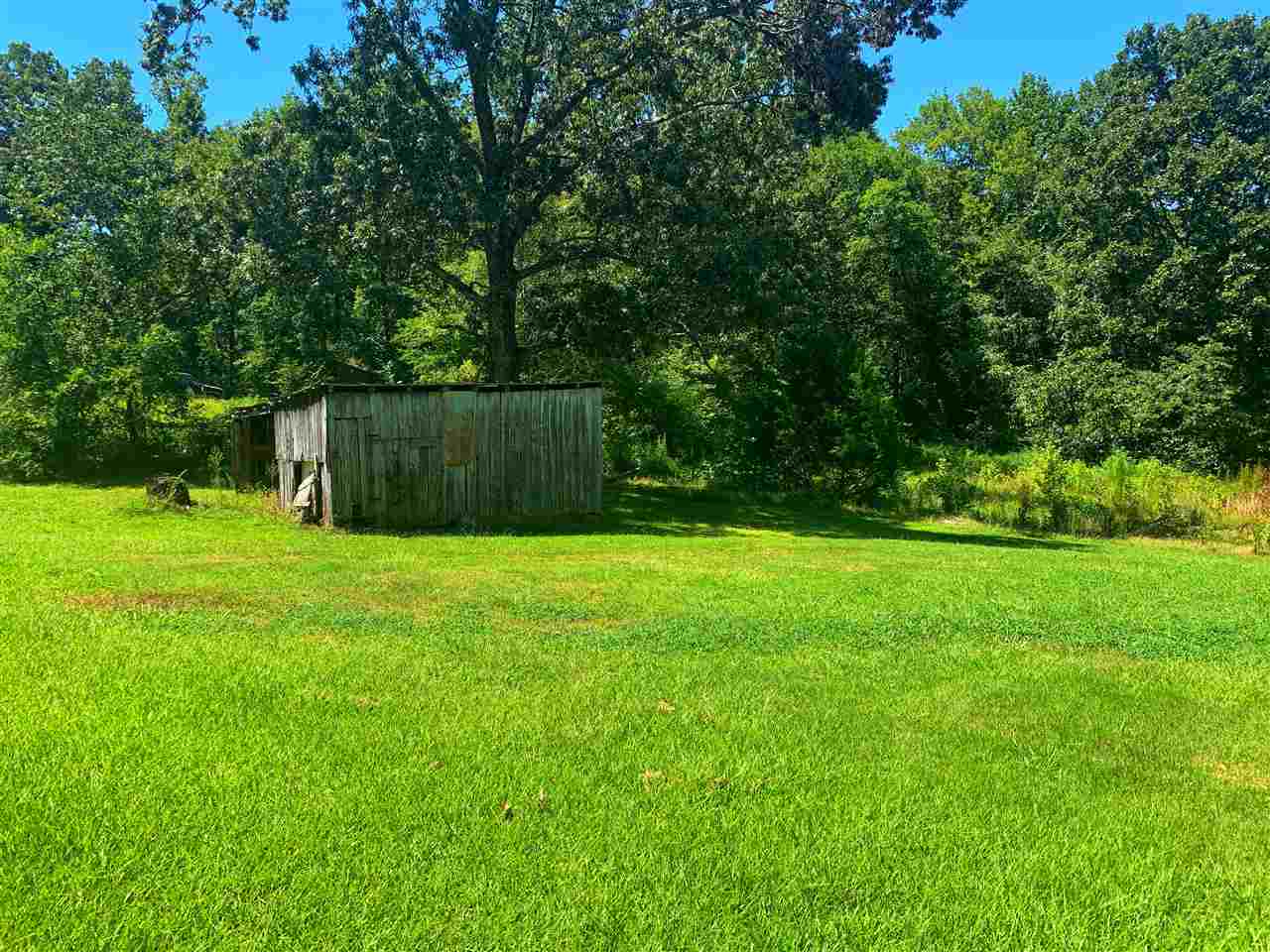 485 Caney Branch Road Adamsville, TN 38310 - Photo 2 of 15 Gallery Image 2